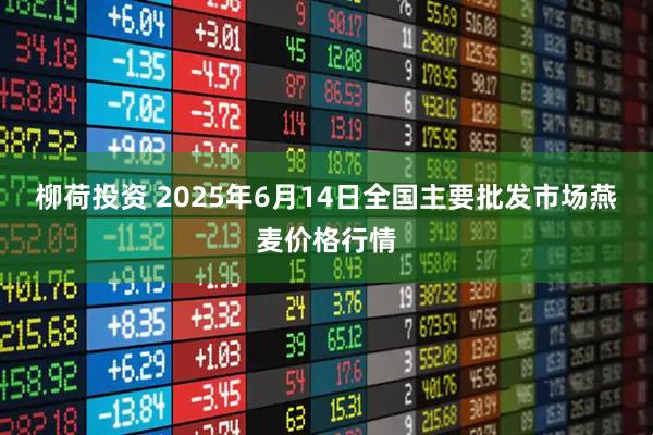 柳荷投资 2025年6月14日全国主要批发市场燕麦价格行情