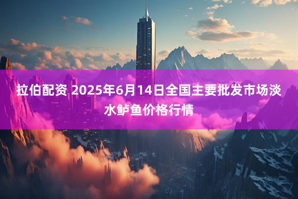 拉伯配资 2025年6月14日全国主要批发市场淡水鲈鱼价格行情