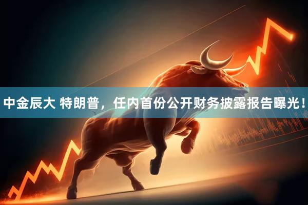 中金辰大 特朗普，任内首份公开财务披露报告曝光！