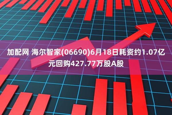 加配网 海尔智家(06690)6月18日耗资约1.07亿元回购427.77万股A股