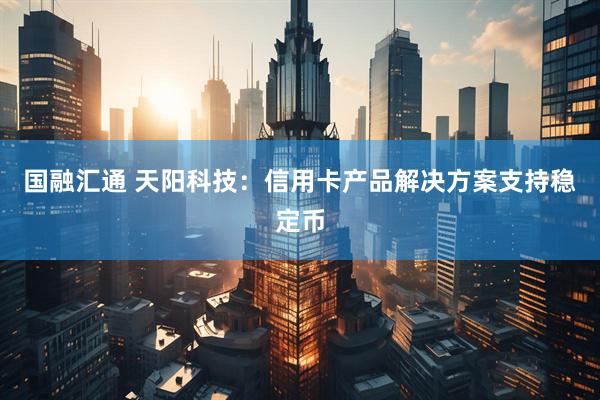 国融汇通 天阳科技：信用卡产品解决方案支持稳定币