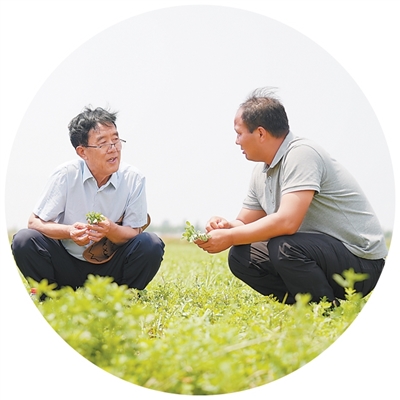 悦配资 奏响新时代“黄河大合唱”的草牧乐章