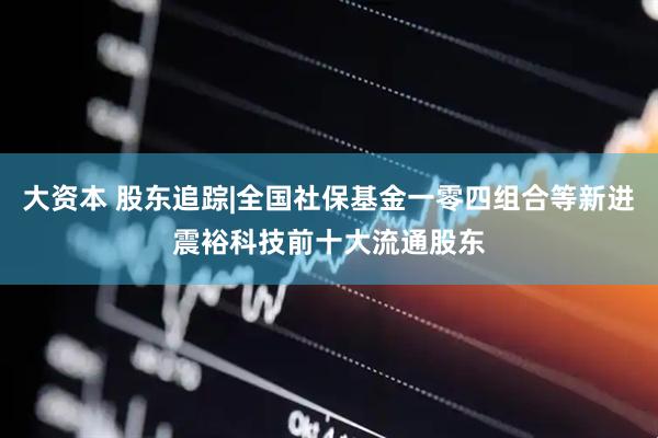 大资本 股东追踪|全国社保基金一零四组合等新进震裕科技前十大流通股东