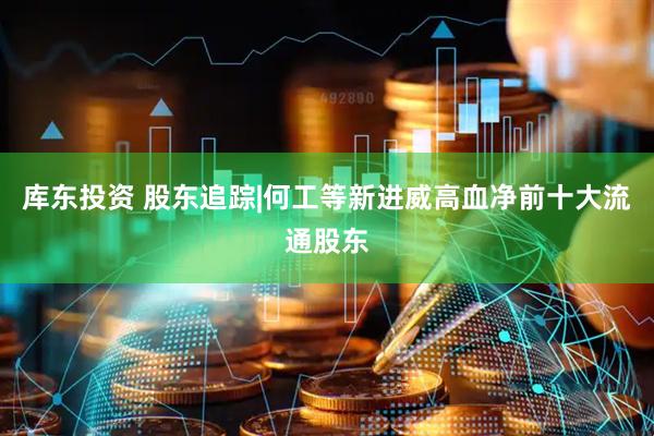 库东投资 股东追踪|何工等新进威高血净前十大流通股东