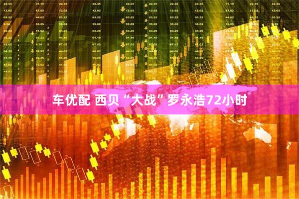 车优配 西贝“大战”罗永浩72小时
