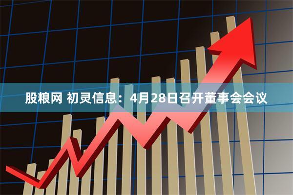 股粮网 初灵信息：4月28日召开董事会会议